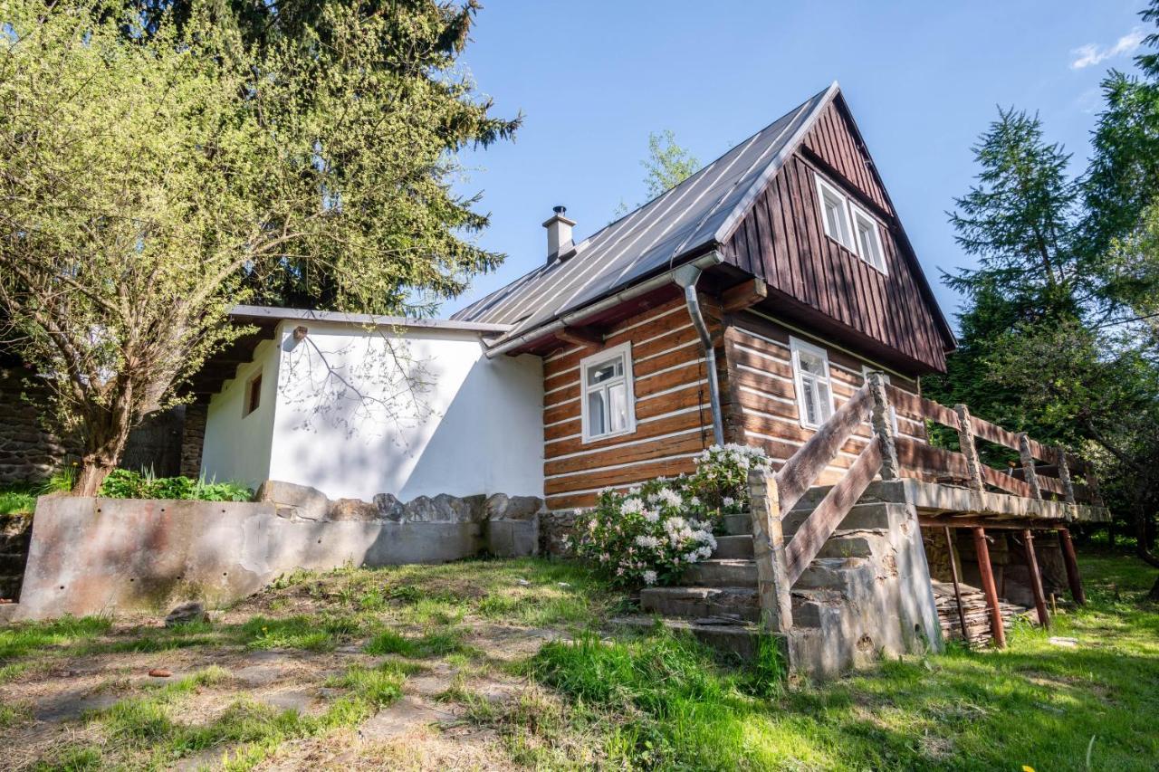 Roubenka Mustelka Διαμέρισμα Rokytnice nad Jizerou Εξωτερικό φωτογραφία