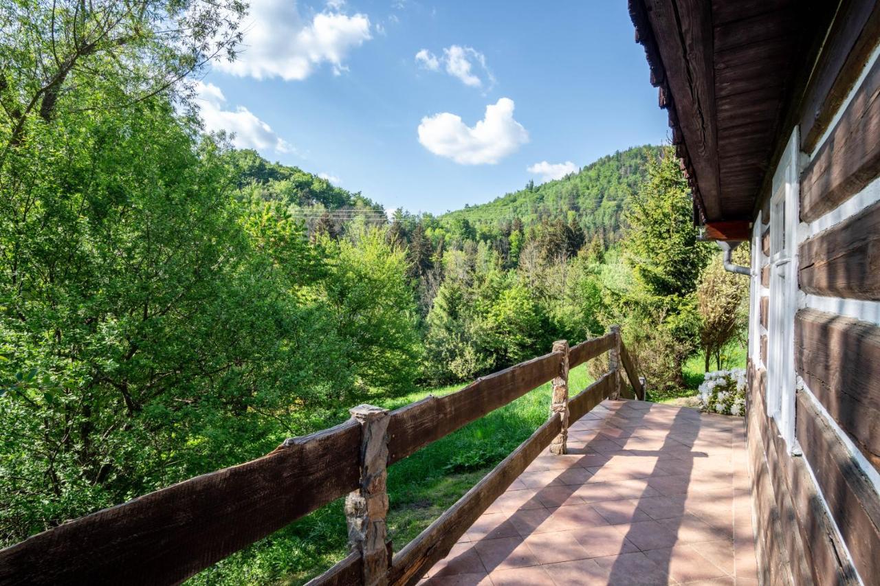 Roubenka Mustelka Διαμέρισμα Rokytnice nad Jizerou Εξωτερικό φωτογραφία